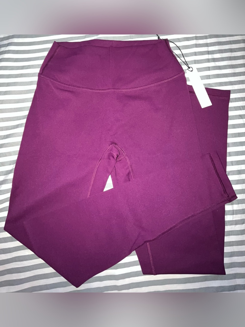 Paragon Fitwear RecStretch SculptSeam Plus Legging in Velvet Size M